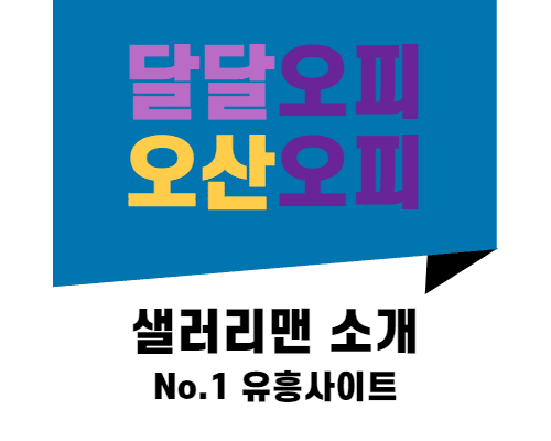 오산오피 샐러리맨 소개