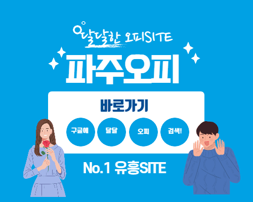 파주오피 파주op