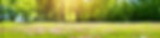 trunk_Preview.jpeg