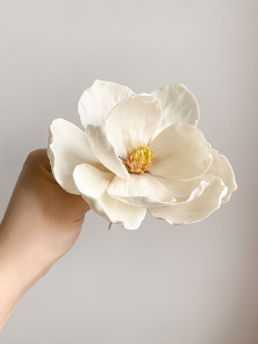 Workshop semi privado de flores de azúcar