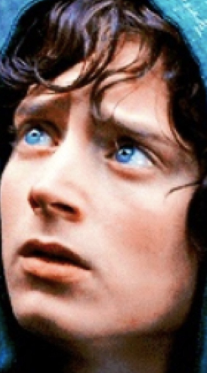 Frodo's Motivation
