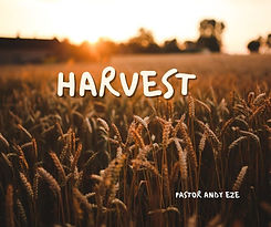 Harvest.jpg