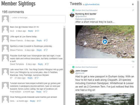 Improved Daily Sightings Page