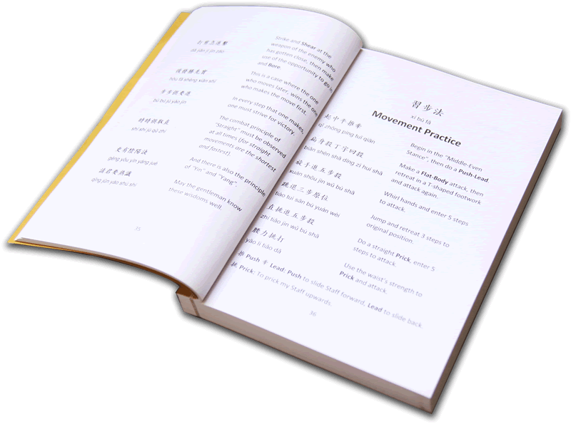 Sword Treatise Page Flip
