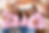 volunteer photo 2 .png