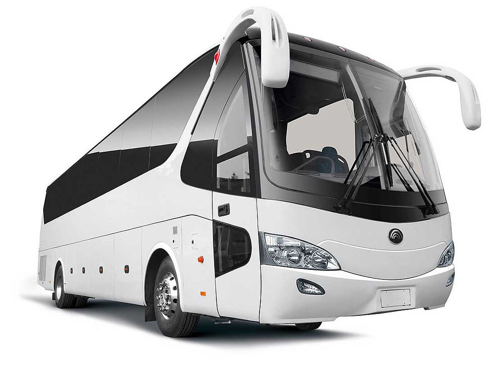 Buses and Coaches
