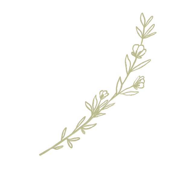 Flower 3 (Pistachio)PNG_edited.png