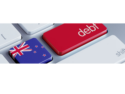IRD Debt Collection