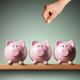 Piggy bank
