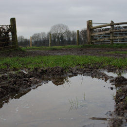 Farming law reforms