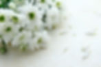 trauerfeier-background.jpg