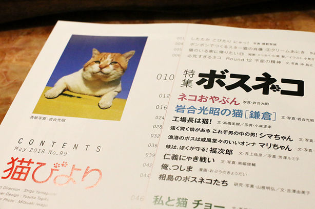 工場長が「猫びより」5月号に掲載されました