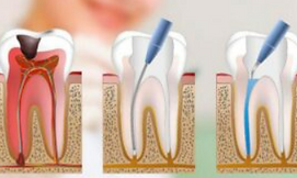 Captura de tela 2025-06-11 141501.png