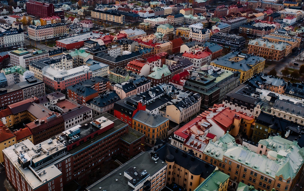 peter-van-der-meulen-go0AAP9R62Q-unsplash.jpeg