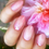 Miniaturbild: Little Flowers