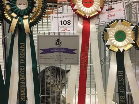 Cobweb does it again!!