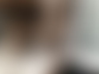 5* Home wanted for Mousetrap