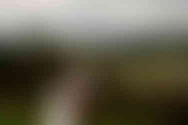 A bride in a wedding dress taps a groom on his shoulder in anticipation of him turning around for their "first look" on their wedding day.