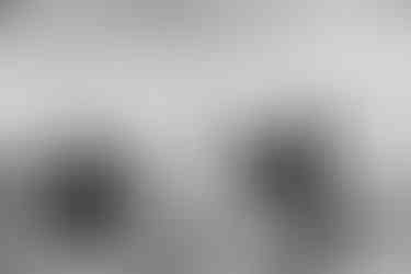 A black and white photo of the groom and bride featuring the back of her white dress and the back of the officiant.