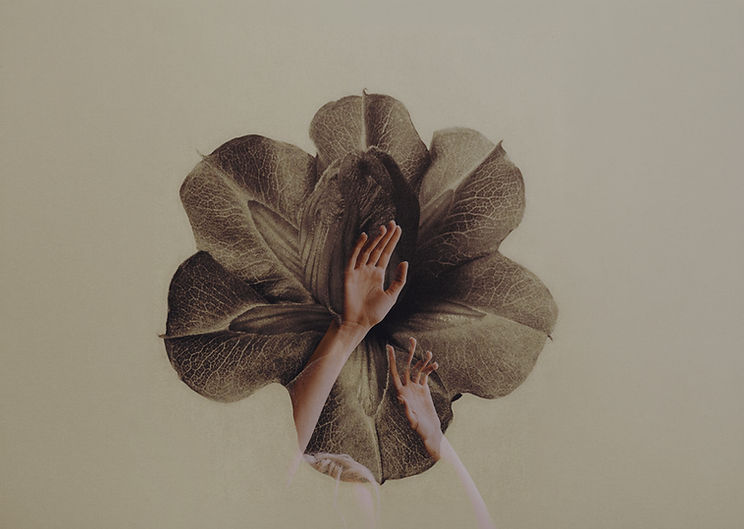 person raising both hands_flower4.jpg