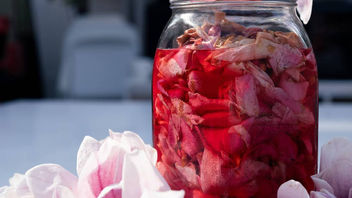 Magnolia Flower Pickle