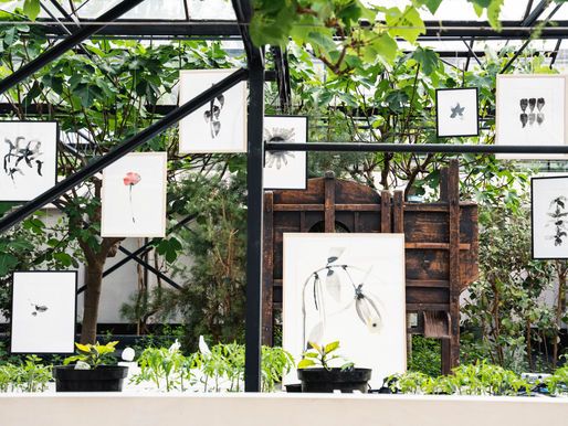 Our exhibition 'Trace' is now open!