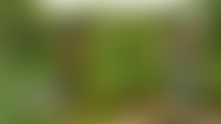 OmVed Gardens Highlights of 2022