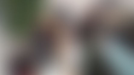 Three invitations from our Seed Saving Network