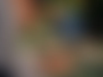 Learning to observe and identify wildlife