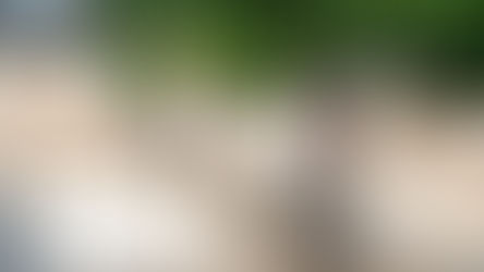 'Alchemy' is now open, until May 26th