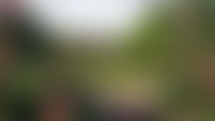 Poetry Exploration Tour