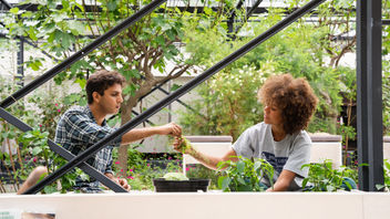 The Seed Saving Network 2023 Catalogue is now live!