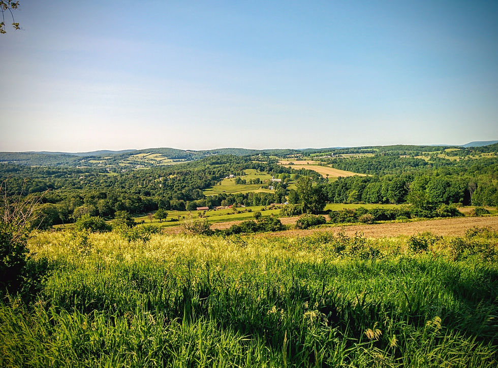 Endless land