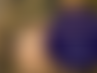 Hausboot Müritz führerscheinfrei