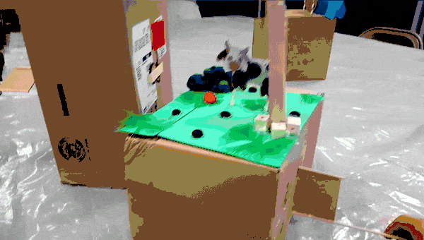 Hnet-image (1).gif
