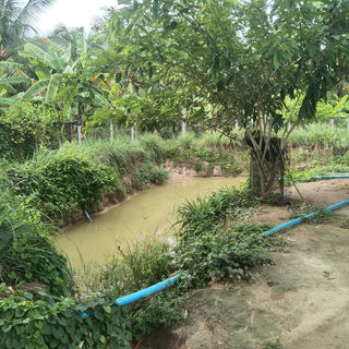 IMG_25650706_080755.jpg