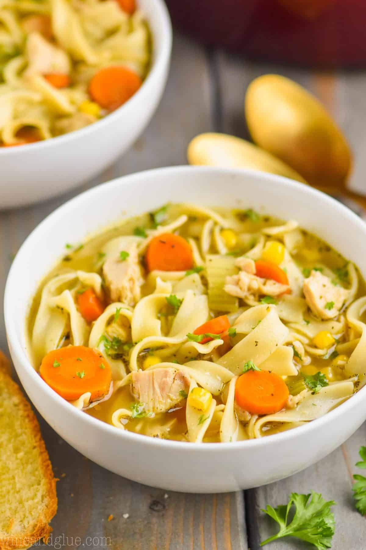Turkey Noodle Soup