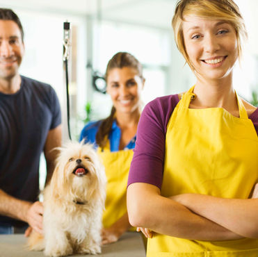 Everything You Need To Know About Dog Grooming