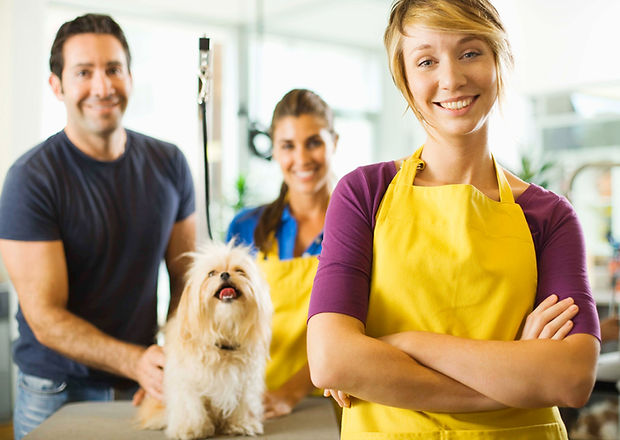 Smiling Groomer
