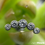 Miniatura: Labret em titânio com 5 zircônias mini.