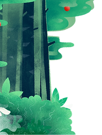 Fundo da floresta Illustrted