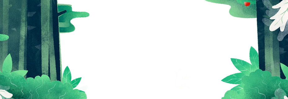 Illustrted forest background