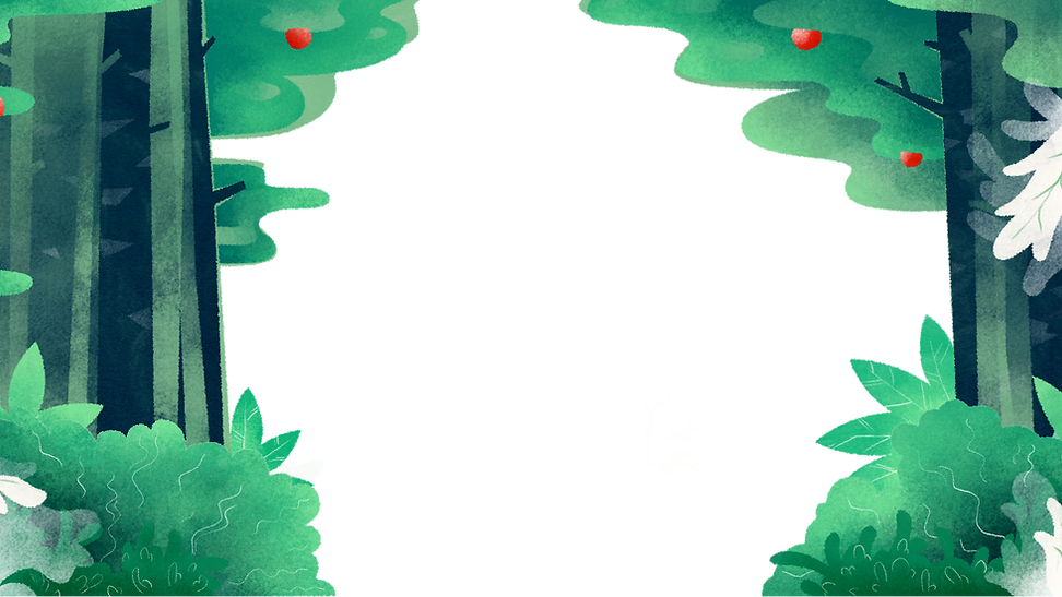 Forest Illustration Frame
