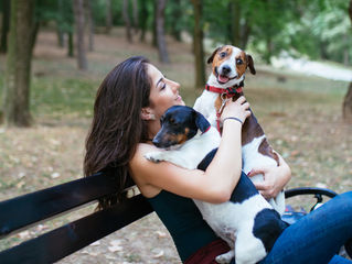 Pet Sitting