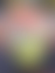 Scale Up Smoked Salmon Cucumber Cups