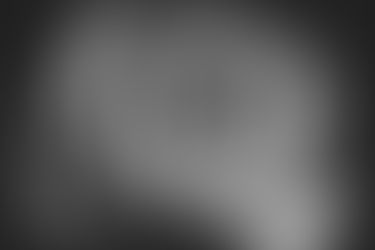 The Bloomfields to stage special 20th anniversary show this month!