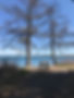 IMG_4902.jpeg