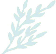flower_edited.png