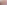 Beverages Banner (1).png