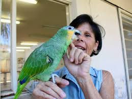 Rodeie-se de vida, papagaio, mulher feliz